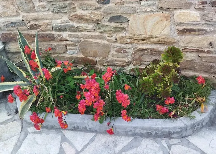 Sunhouse アパート *